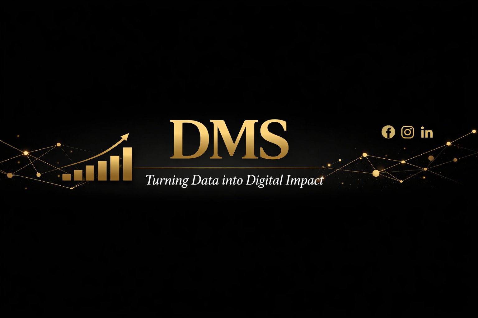 DMS. Turning Data into Digital Impact